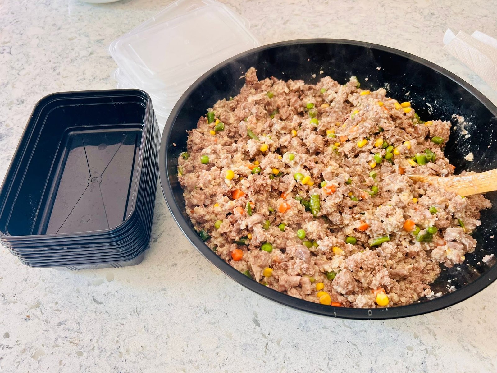 Homemade Beef and Turkey Dog Food with Oats