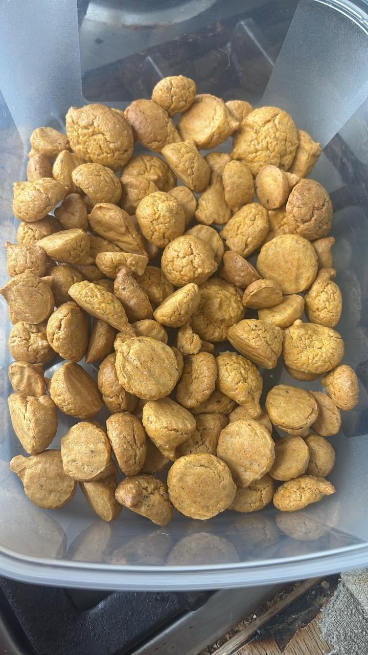 Homemade Mackerel Dog Treats with Oats and Carrots