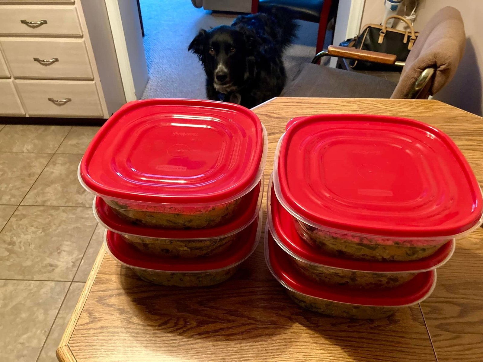 A dog standing behind stacked food containers with red lids on a kitchen table