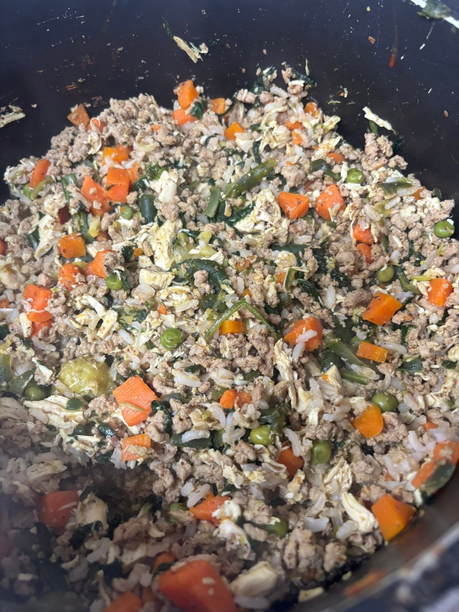Chunky cooked meat and vegetables before blending