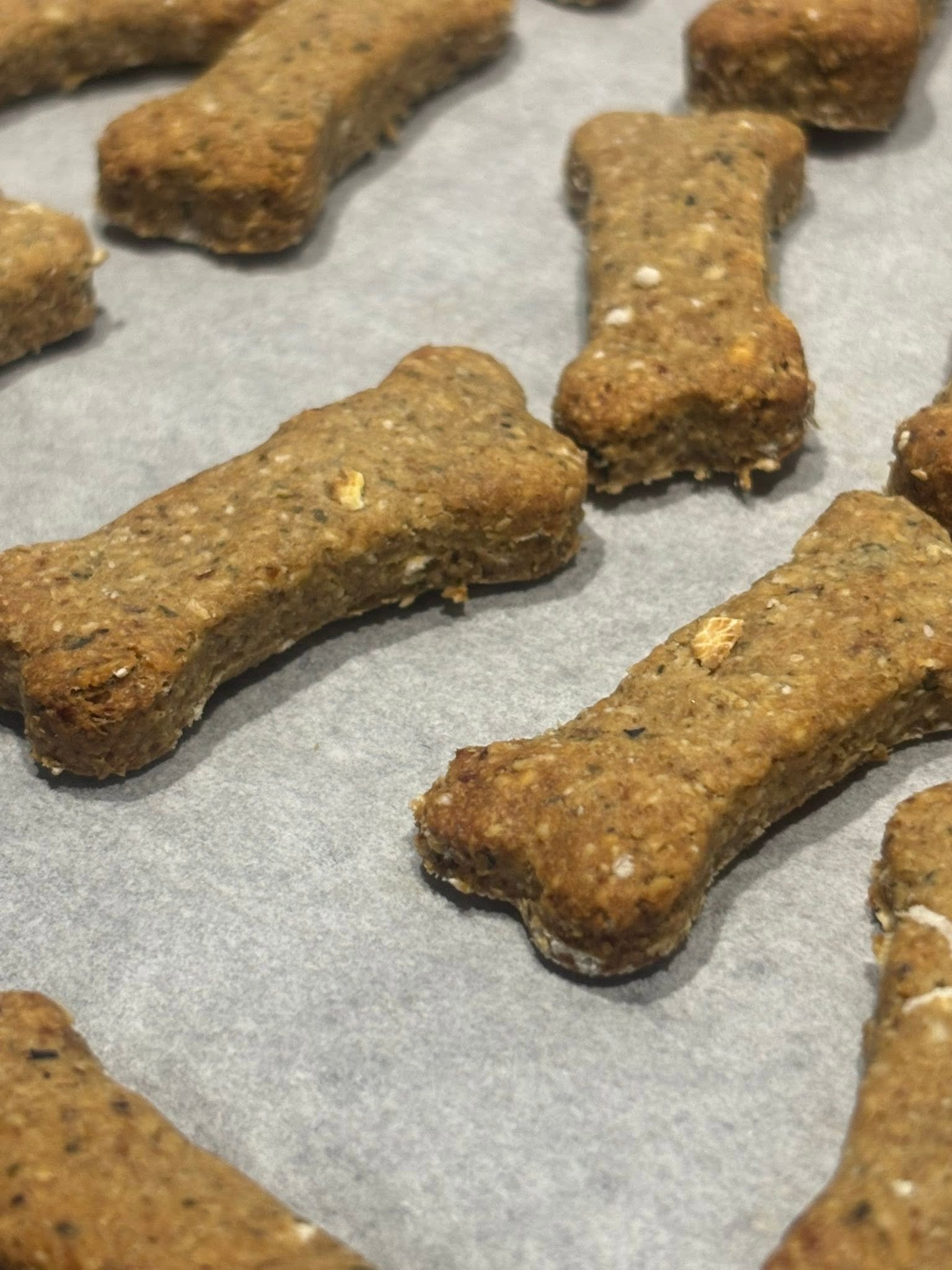 Close-up of golden bone-shaped dog biscuits