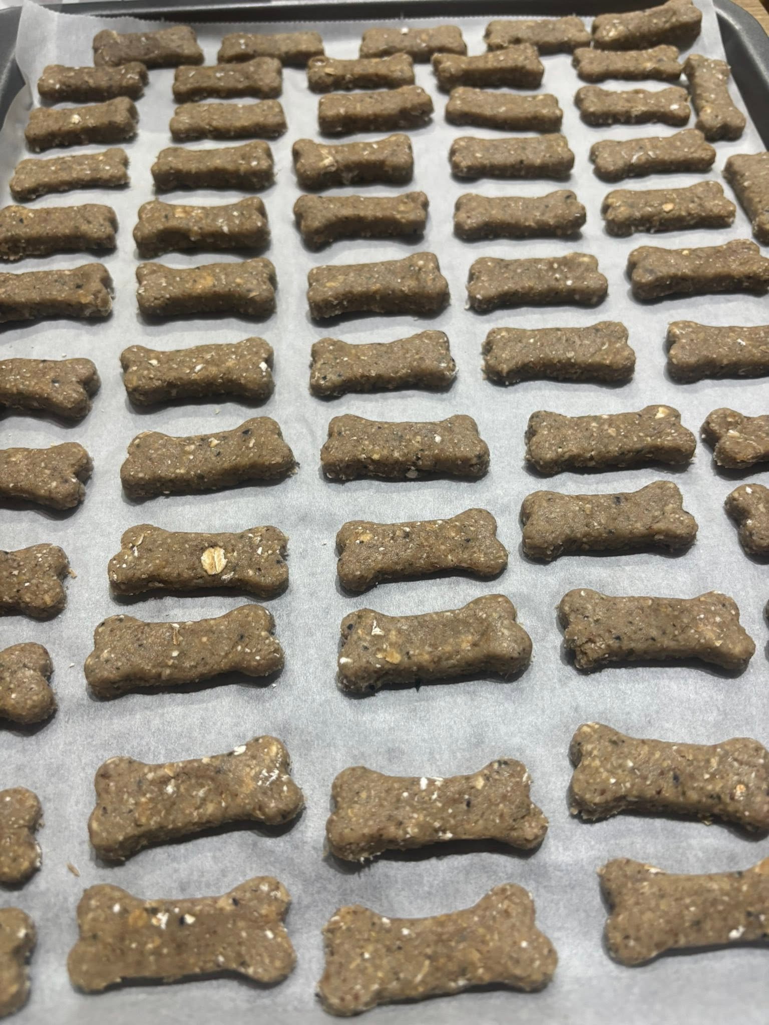 Rows of shaped dog biscuit dough on baking parchment