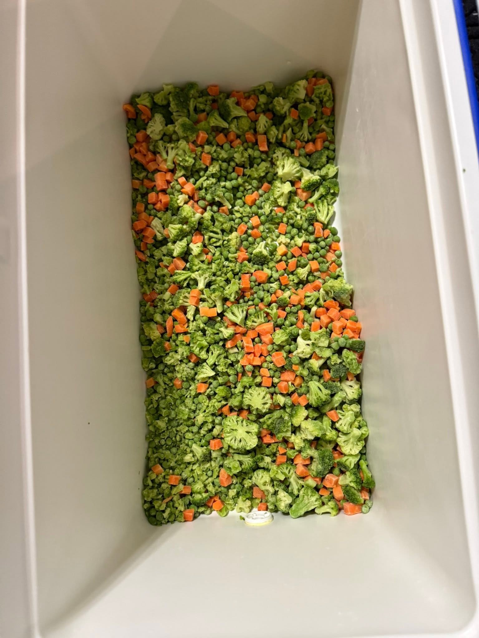 Peas carrots and broccoli in a large container