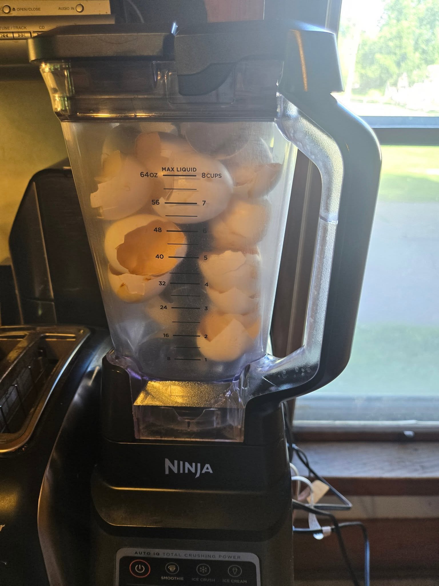 Eggshells inside a blender before grinding