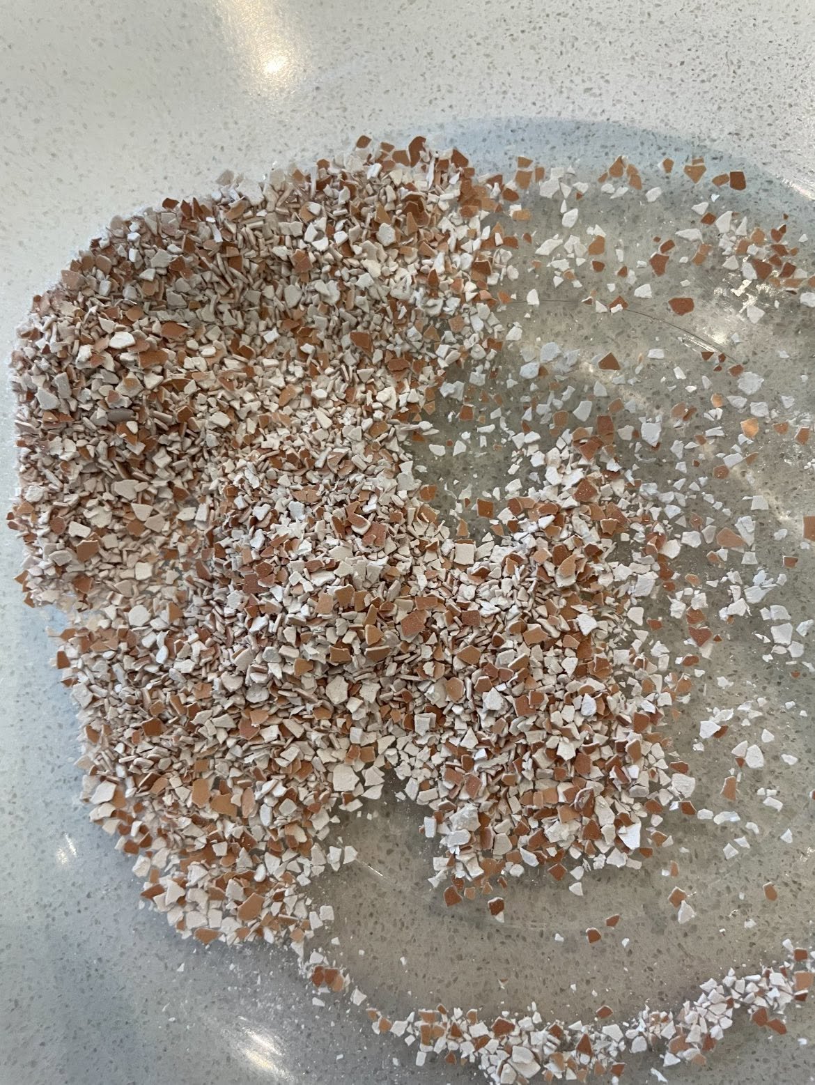 Coarse brown and white eggshell fragments
