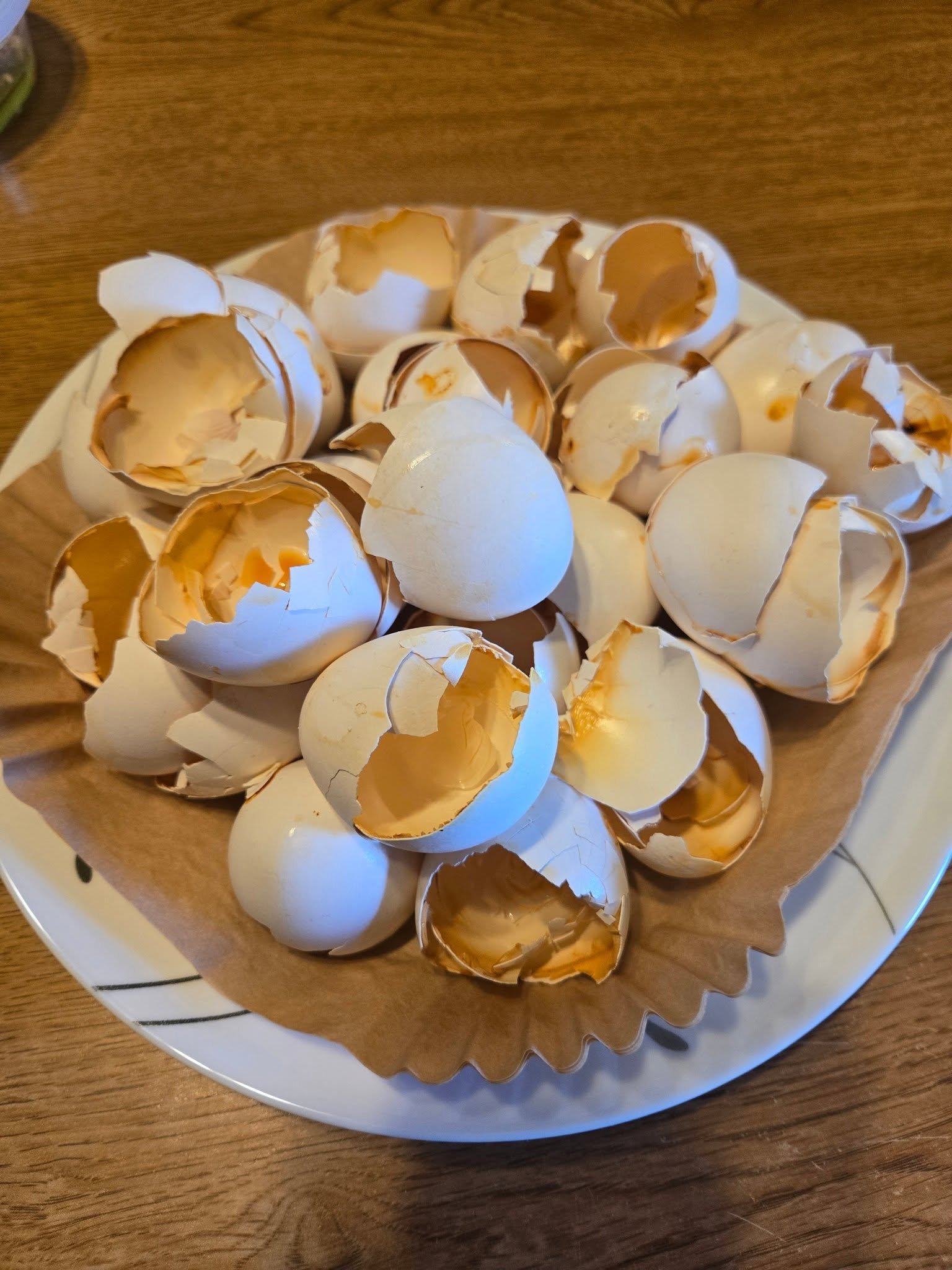 Empty eggshells collected on a paper liner