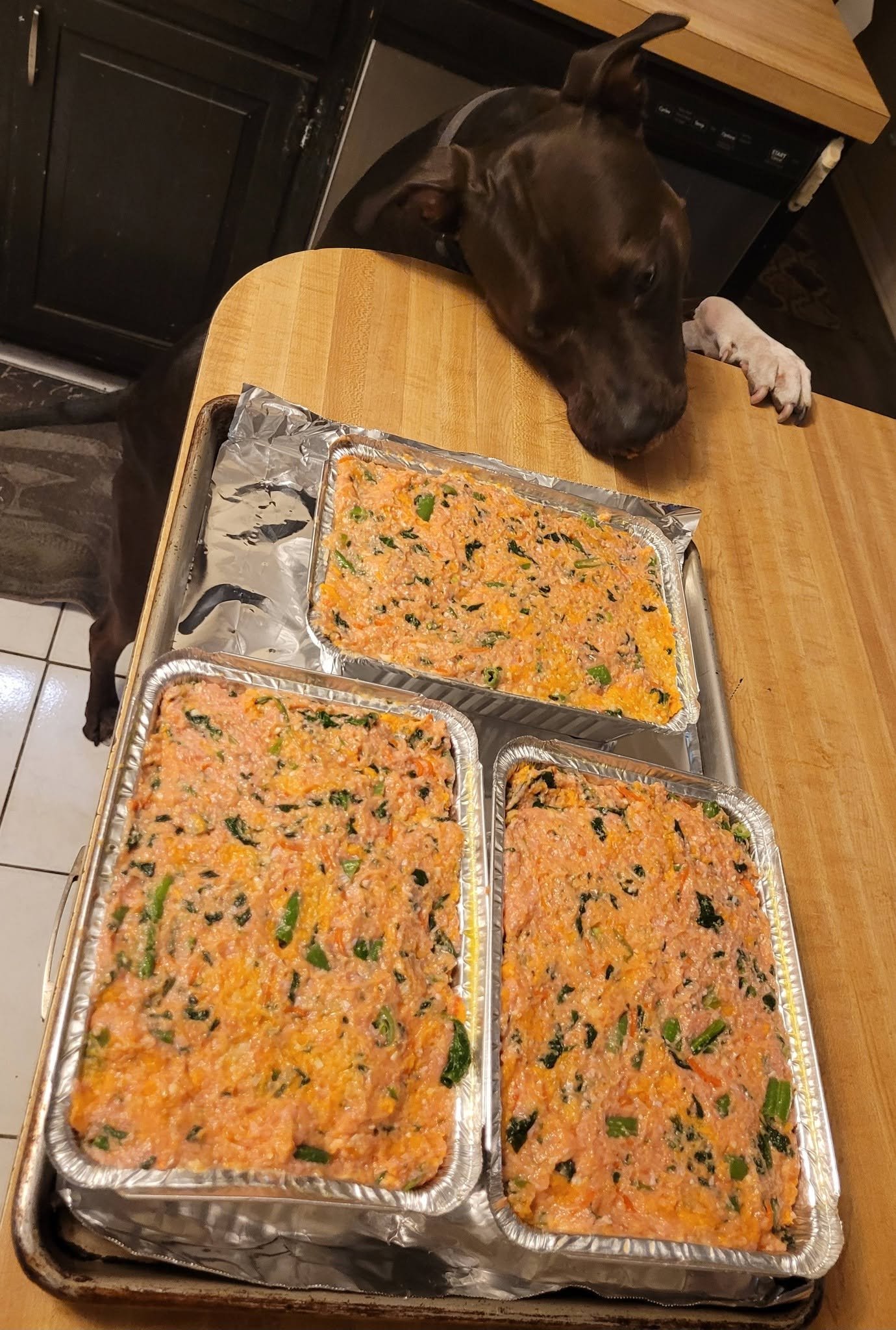 Turkey and vegetable mixture in foil loaf pans with a dog nearby