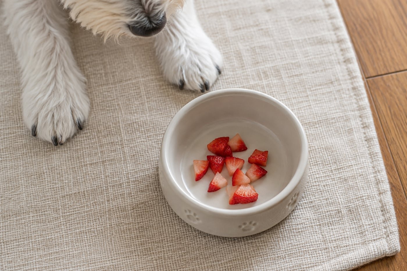 Small treat portion: tiny chopped strawberry pieces.