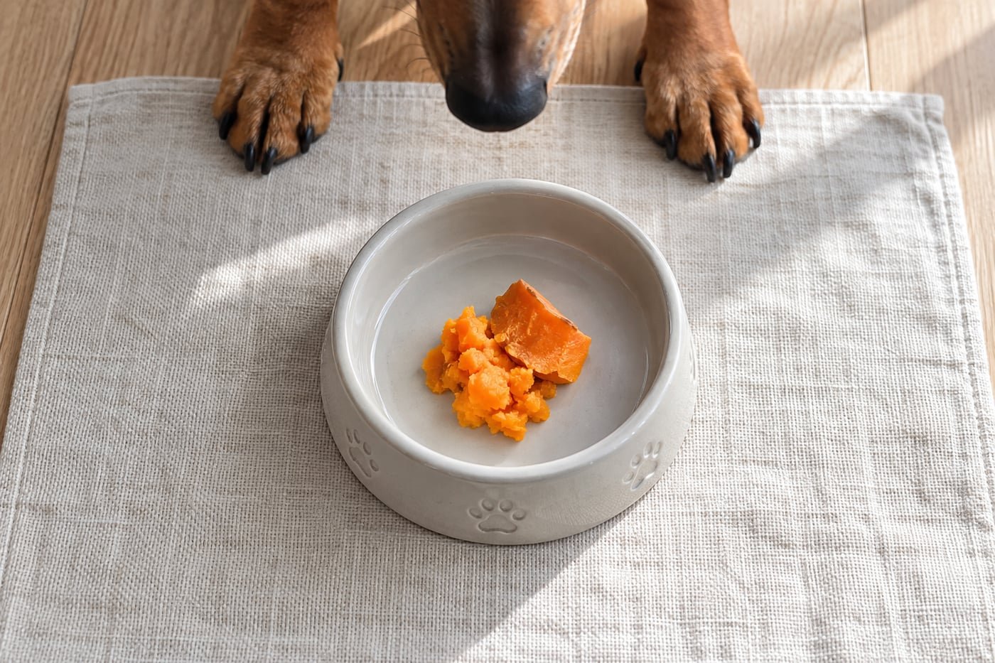 Small treat portion: a small spoonful of plain cooked peeled sweet potato.