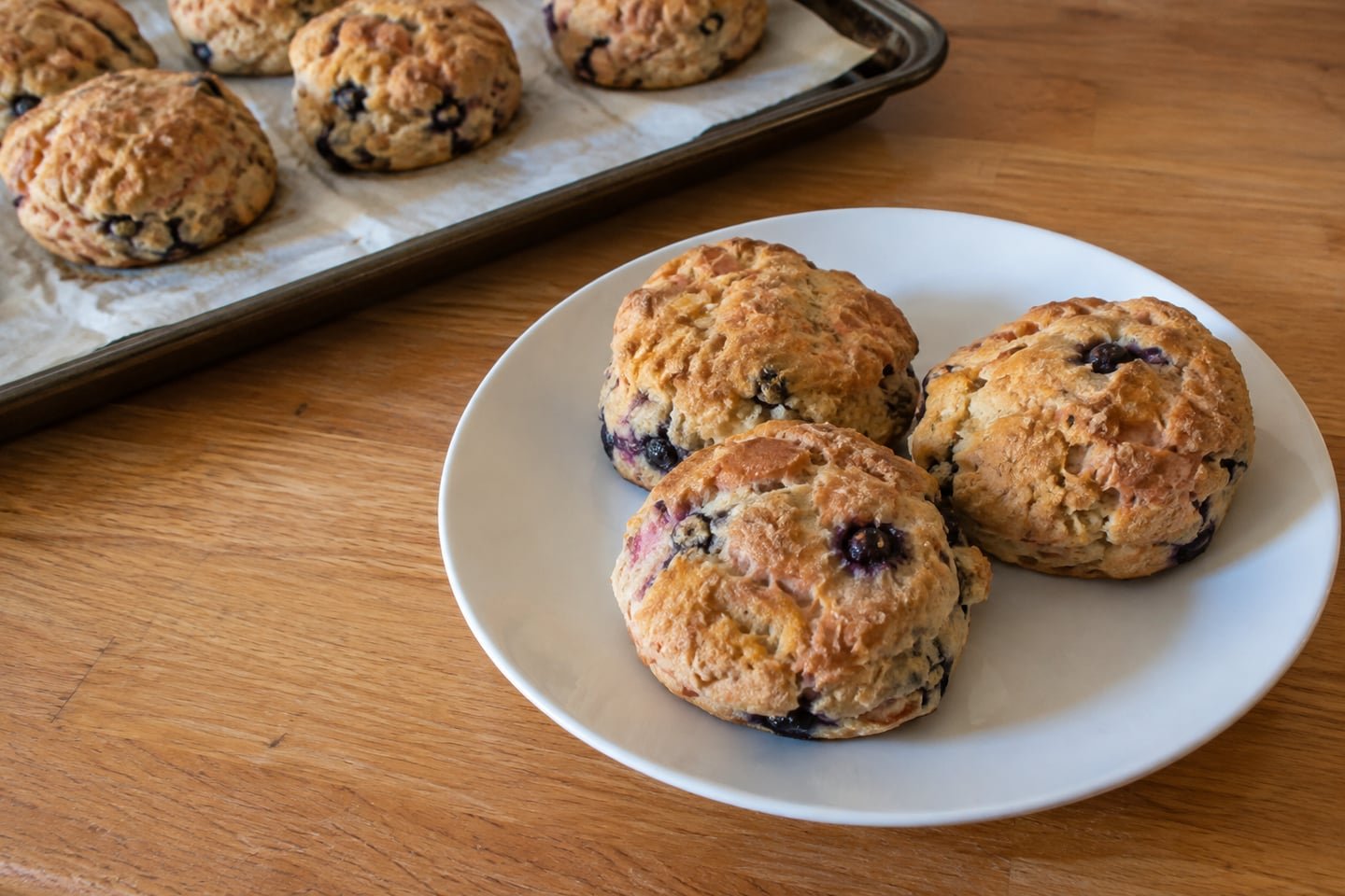 Baked Salmon Blueberry Dog Biscuits