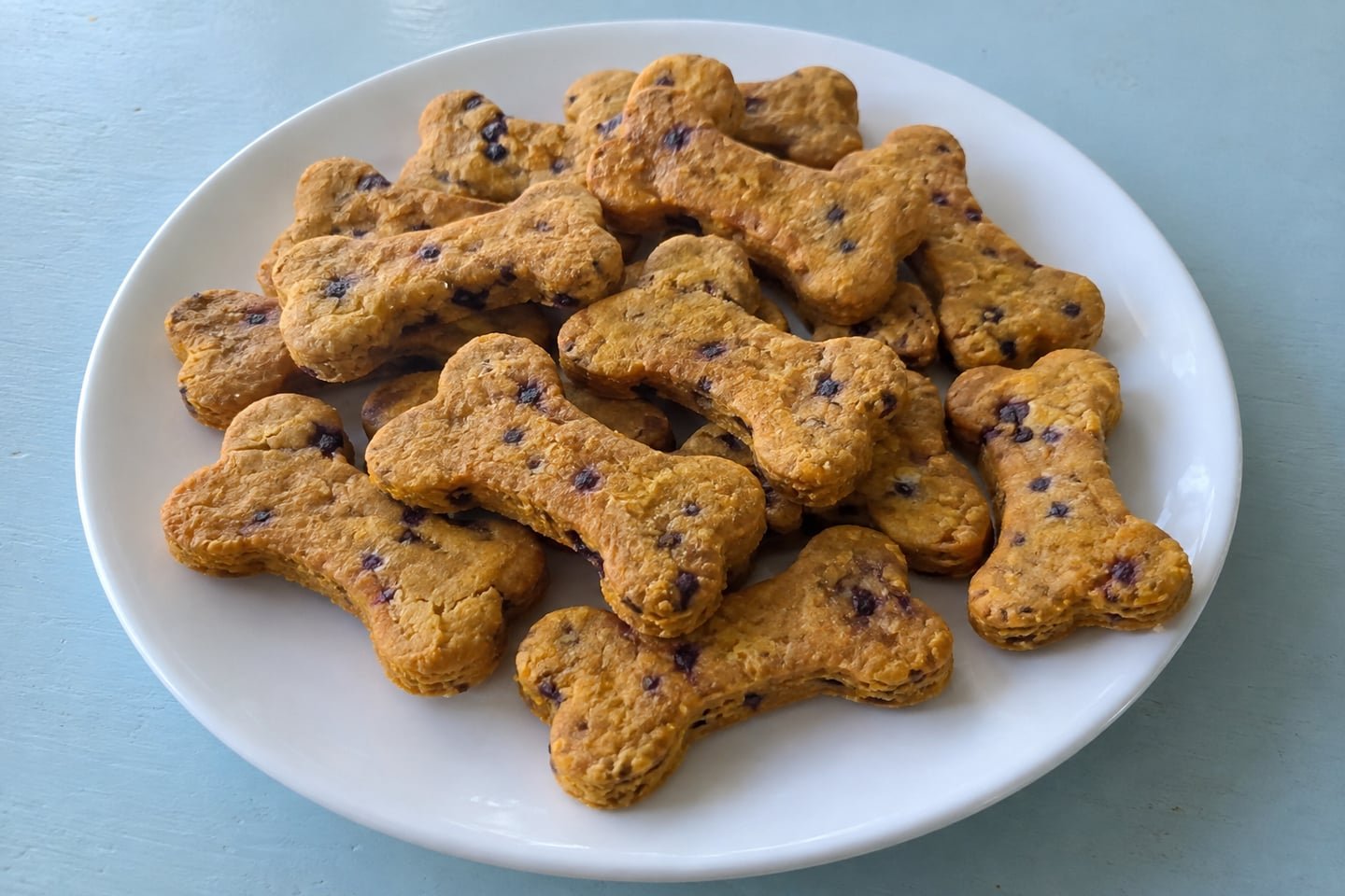 Pumpkin Blueberry Dog Treat Maker Biscuits