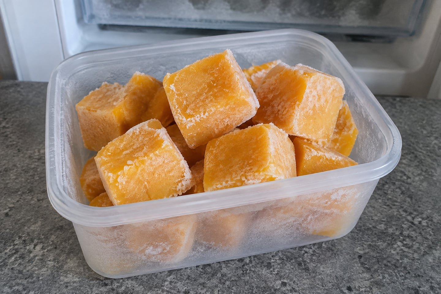 Two-Ingredient Pumpkin Frozen Dog Treats